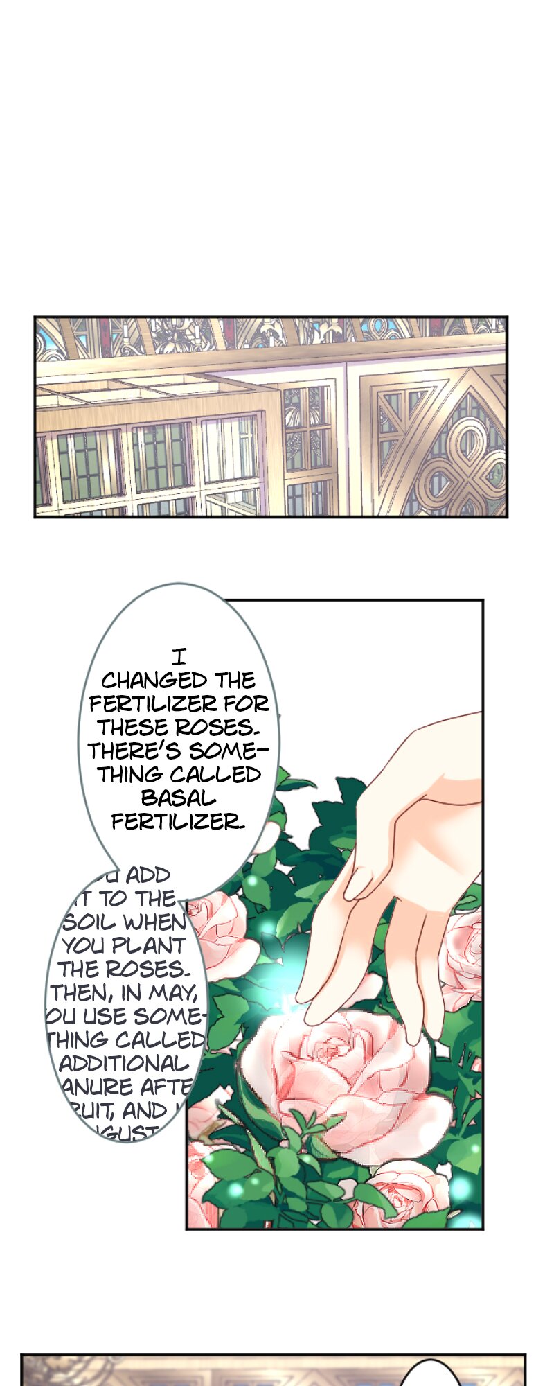 60362203 800 2000 212565